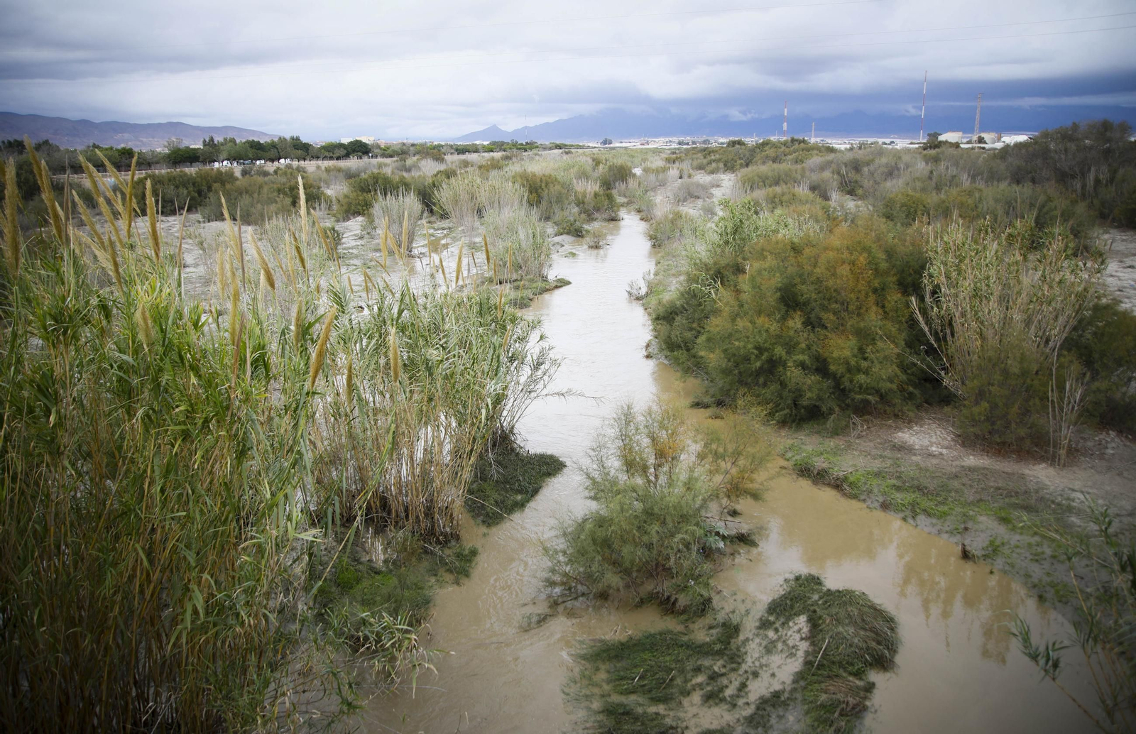 La desembocadura del río Andarax, en imágenes