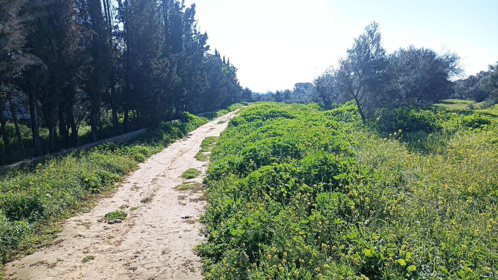 Avanzamos por una zona llana junto a las ruinas de varios edificios.