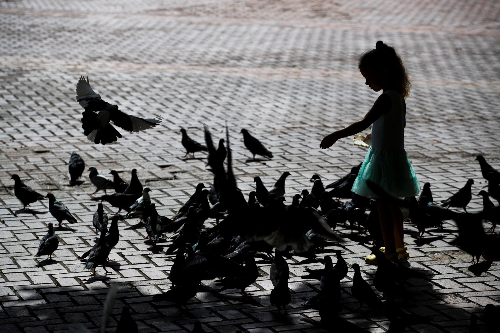Una niña alimenta palomas.