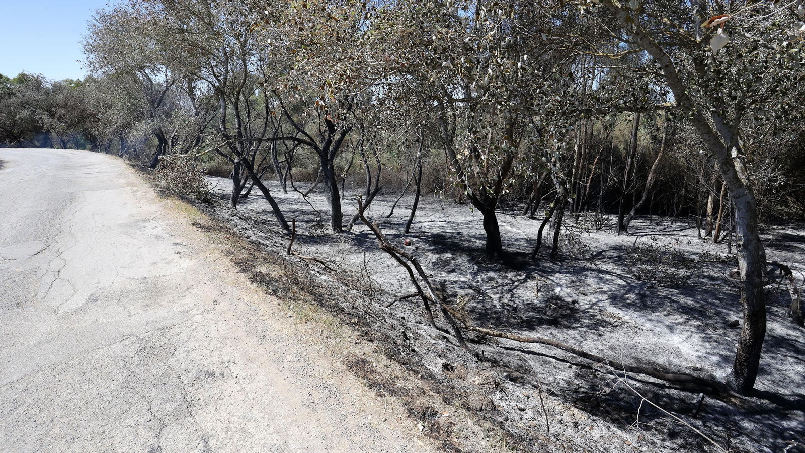 Infoca refresca la zona del incendio en La Ina