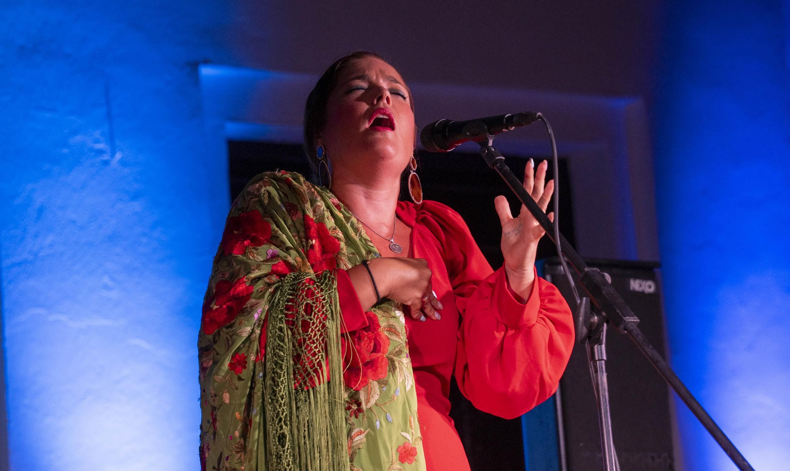 Las mejores imágenes del Festival de Flamenco en Fondón
