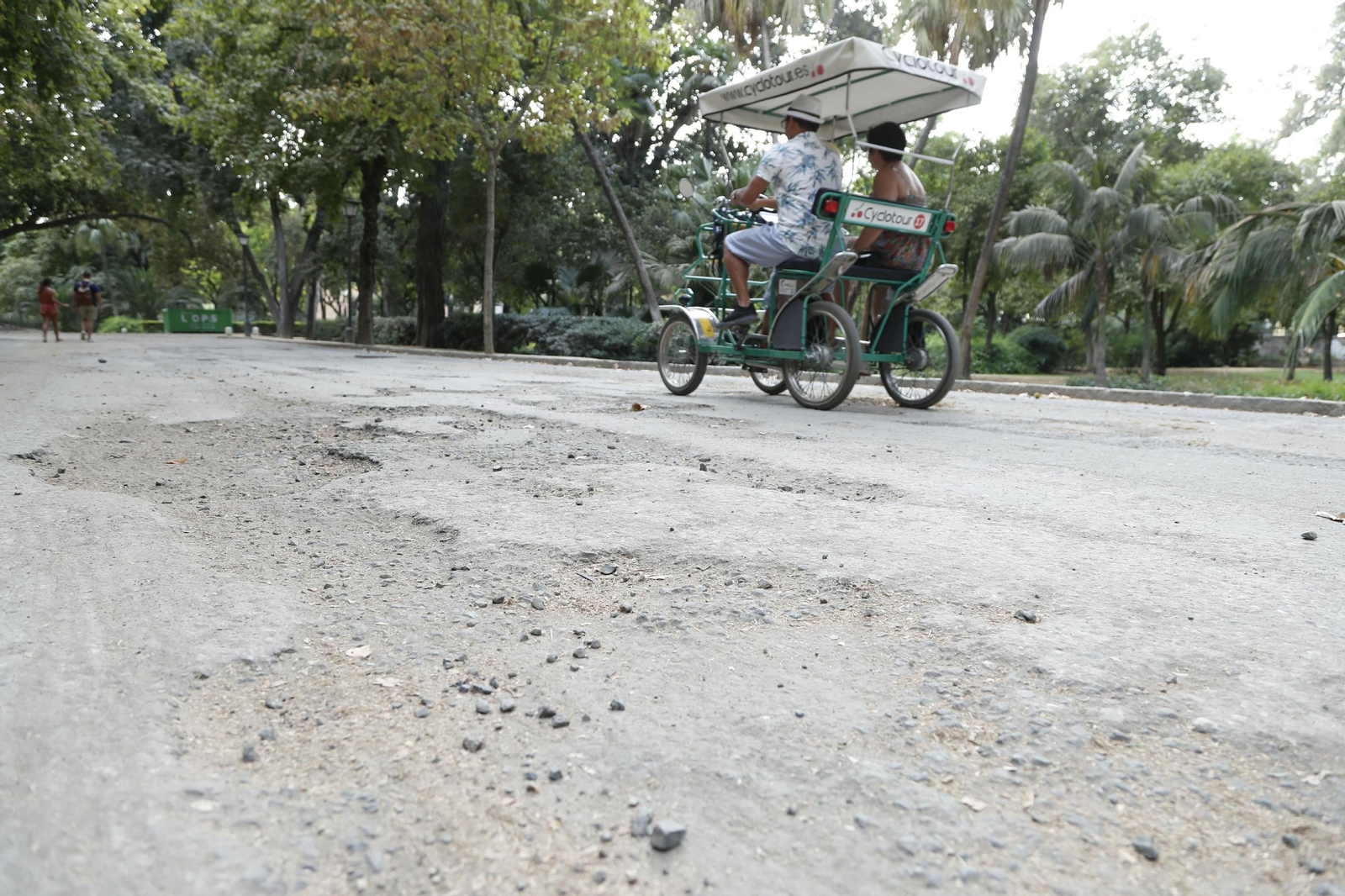 Un vehículo pasa por el deteriorado asfalto del parque.