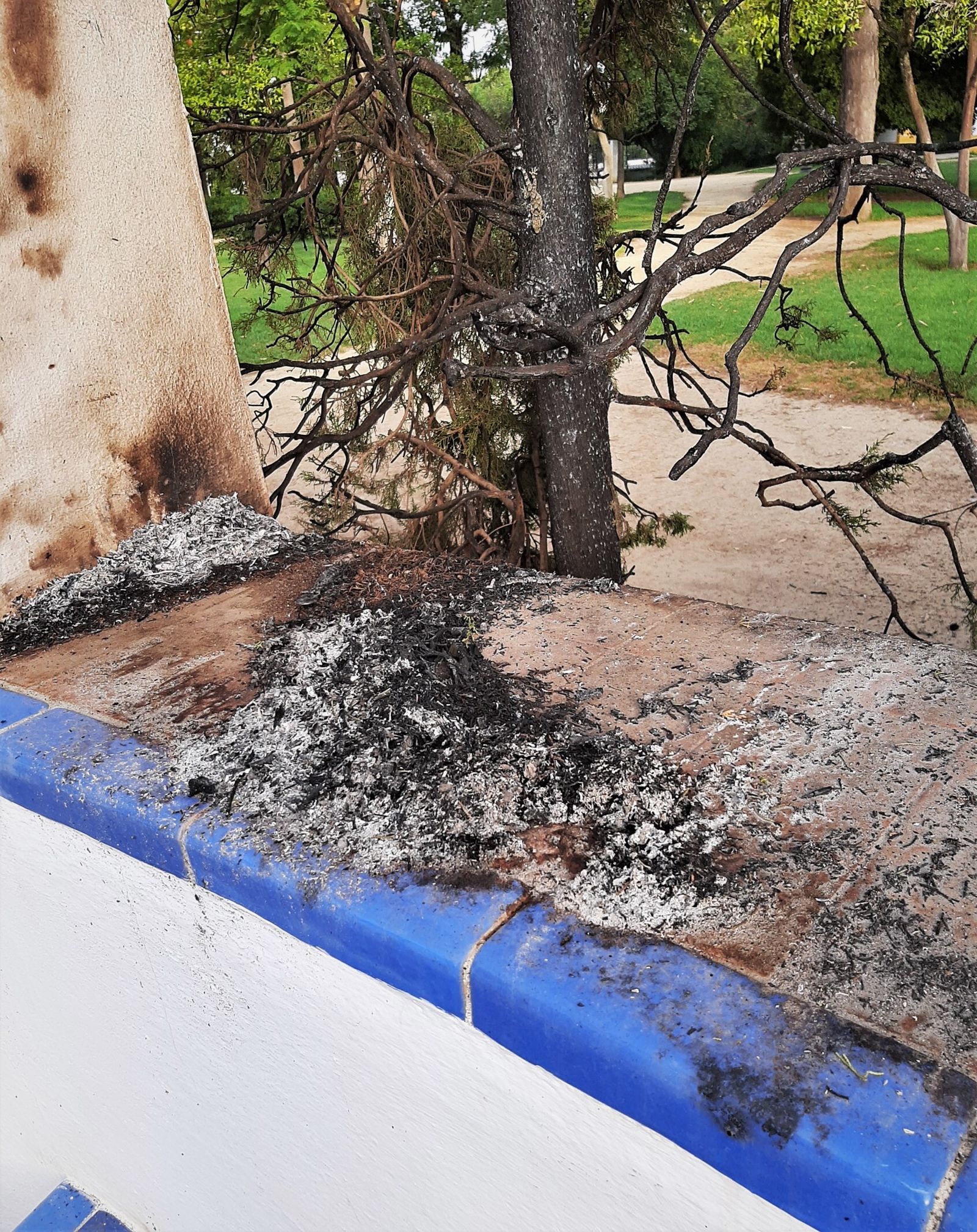 Detalle de los daños causados por el incendio en la Glorieta de Ofelia Nieto.