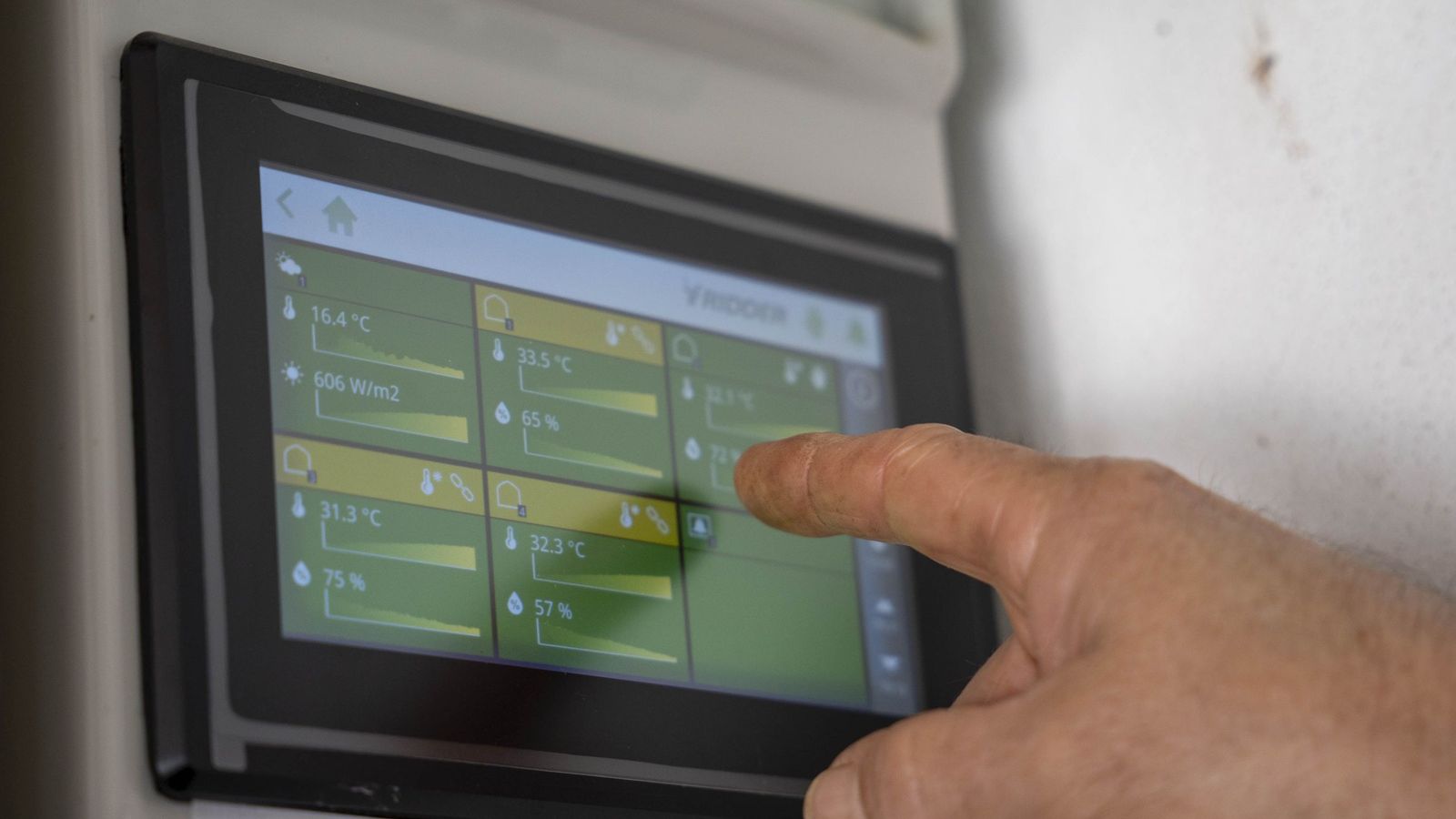 La primavera se planta en invierno entre sandías y tomates almerienses