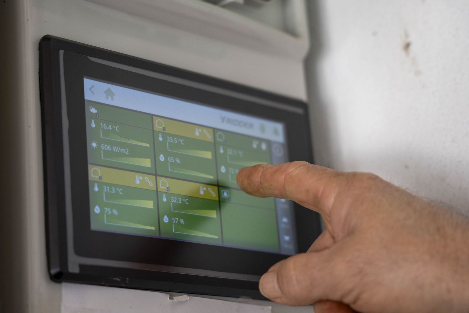 La primavera se planta en invierno entre sandías y tomates almerienses