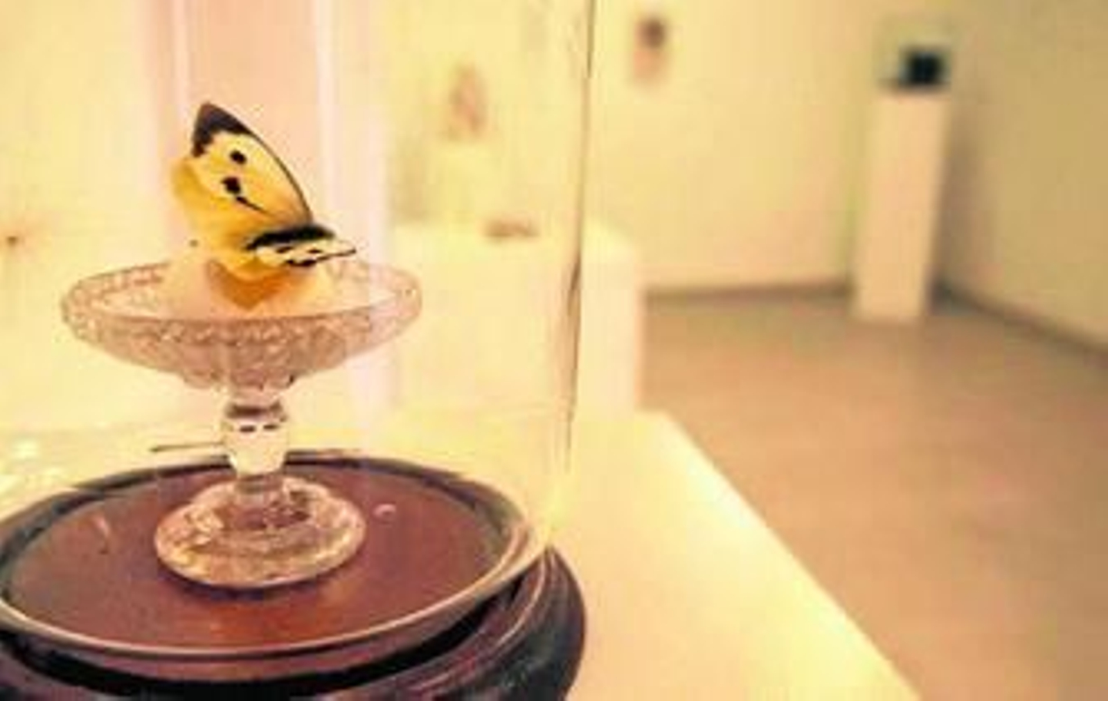 1, 2, 3 y 4. Muestra y detalles de la exposición de Roberto Rivas que podrá visitarse hasta el próximo 9 de octubre en la Galería Arrabal.