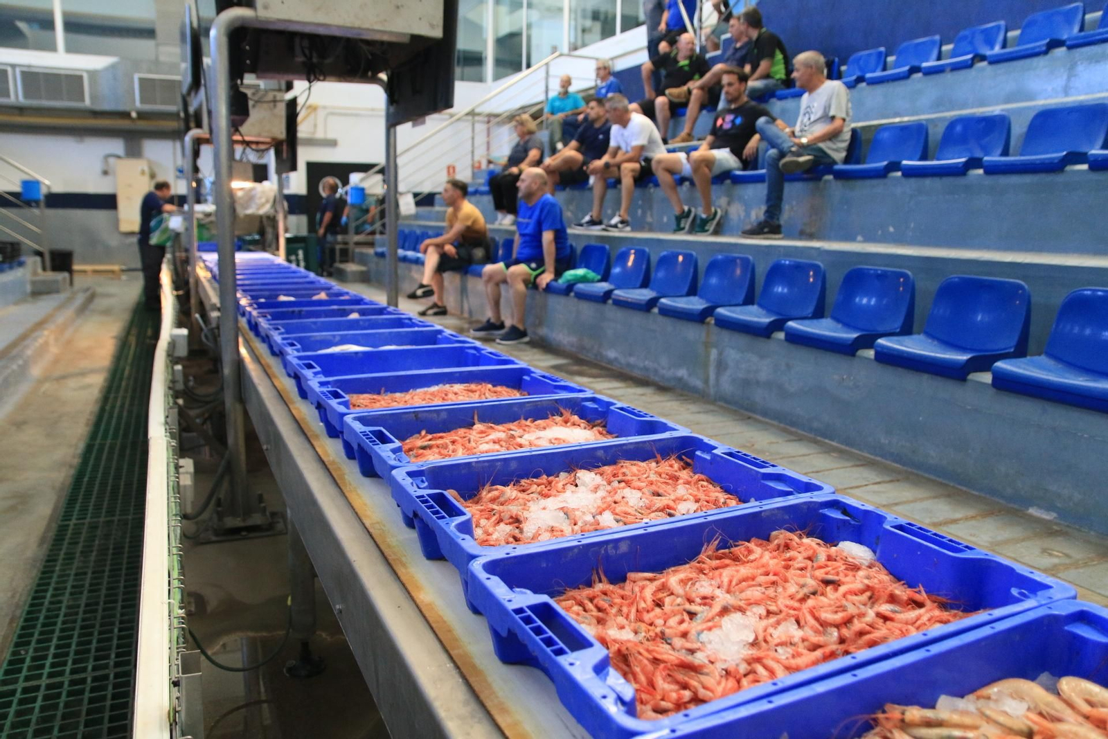 Vea cómo se descargan y se venden en la lonja la Gamba Roja de Almería