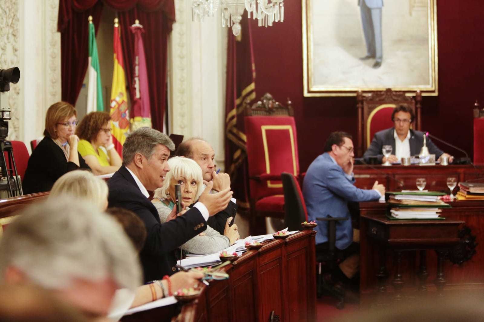 Ignacio Romaní, durante el pleno de este viernes.