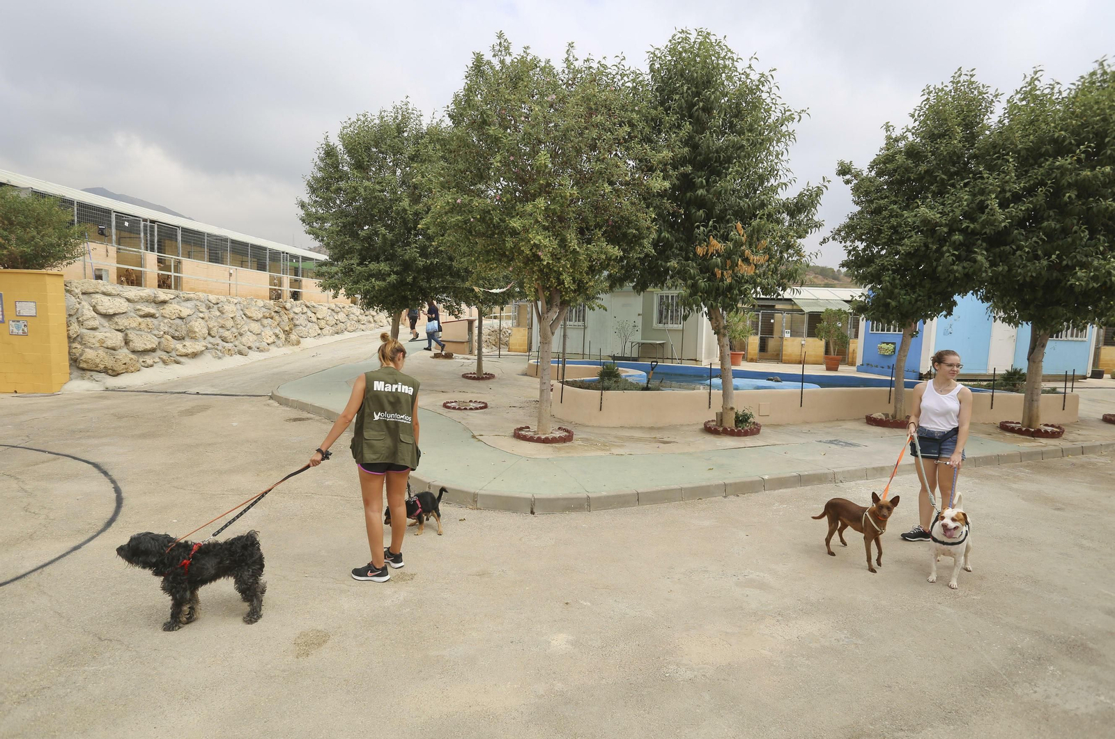 Las fotos de los animales de la Protectora de Málaga Las fotos de los animales de la Protectora de Málaga