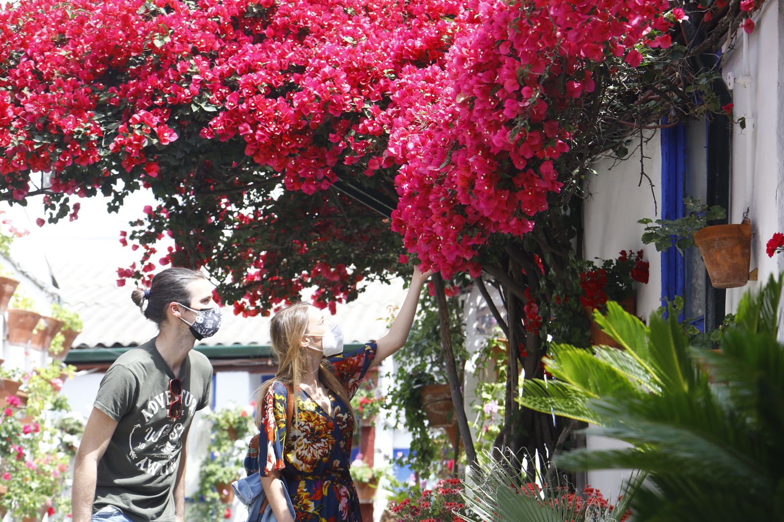 Fotografías: Sábado de colas y bulla en los Patios de Córdoba