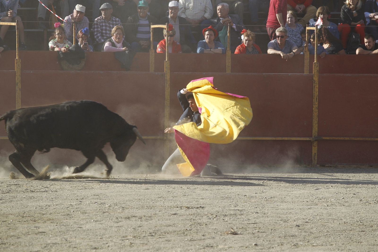 Fotogalería Festival Taurino Mixto. Fiestas de Abrucena.