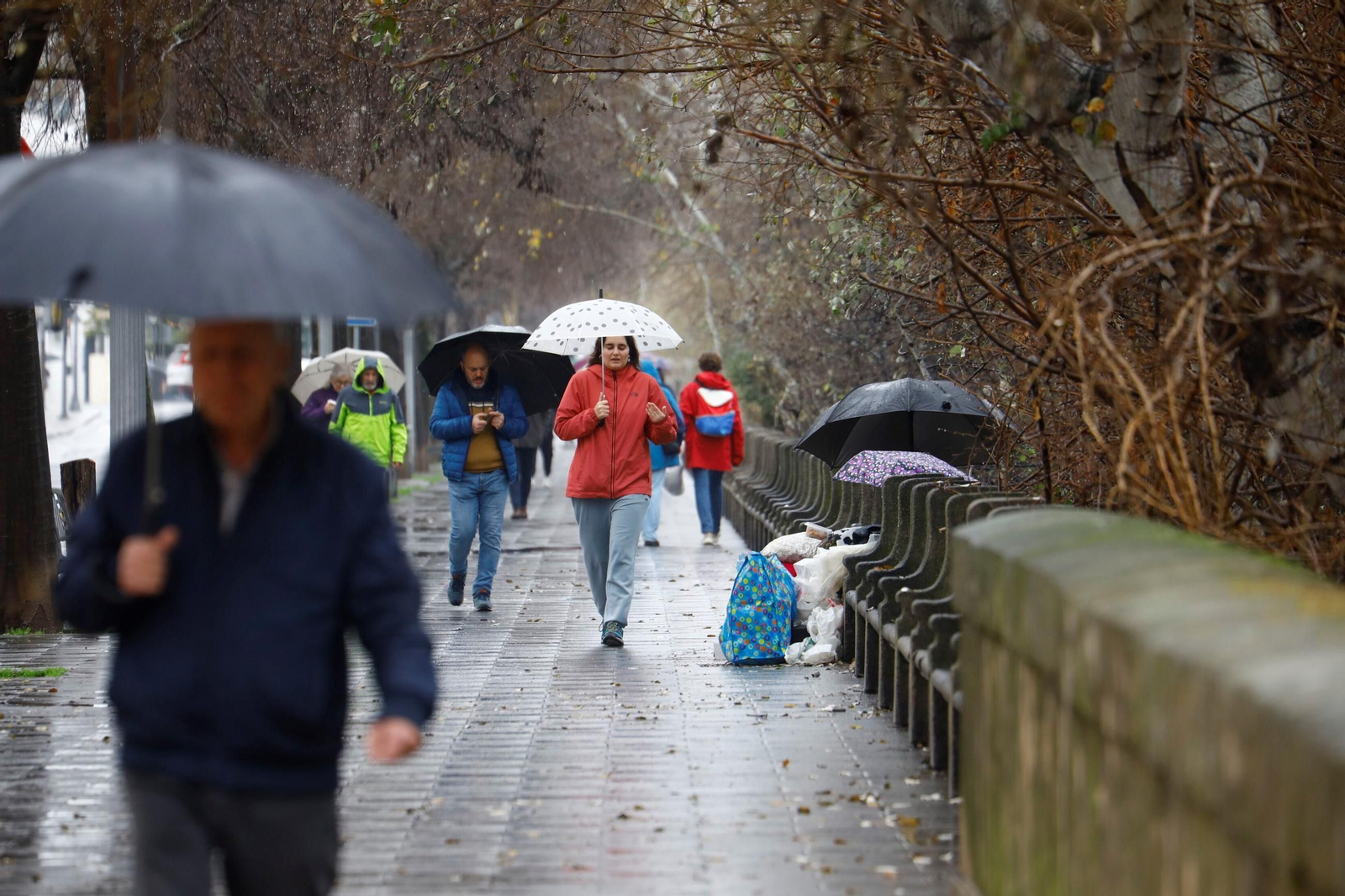El paso de la borrasca Herminia por Córdoba, en imágenes