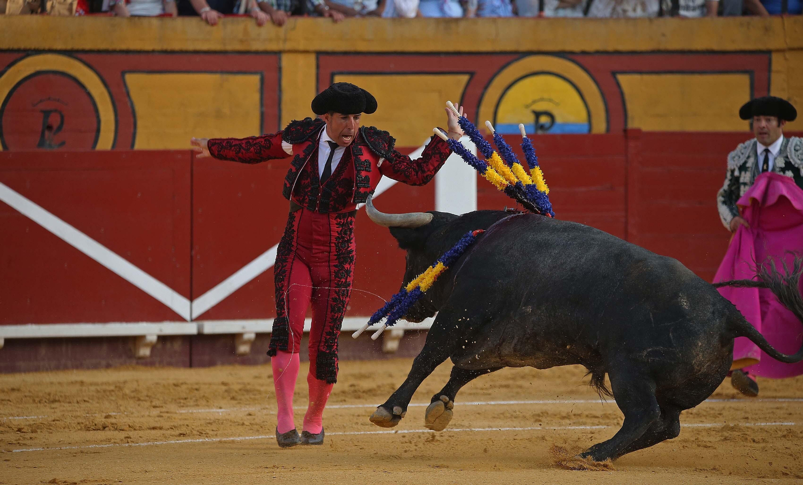 Fotos de la corrida del sábado de la Feria Taurina de Algeciras 2023: Antonio Ferrera, Manuel Escribano y Miguel Ángel Pacheco