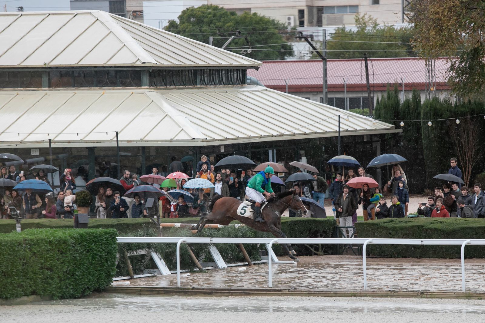 Las fotos de las carreras de caballos en Pineda