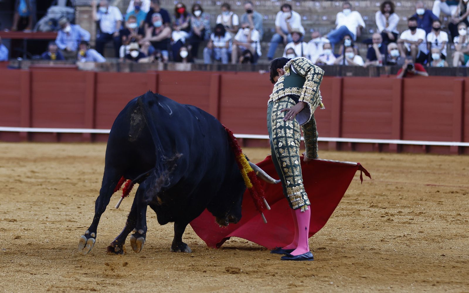 Fotos de la segunda novillada de la feria de San Miguel de Sevilla