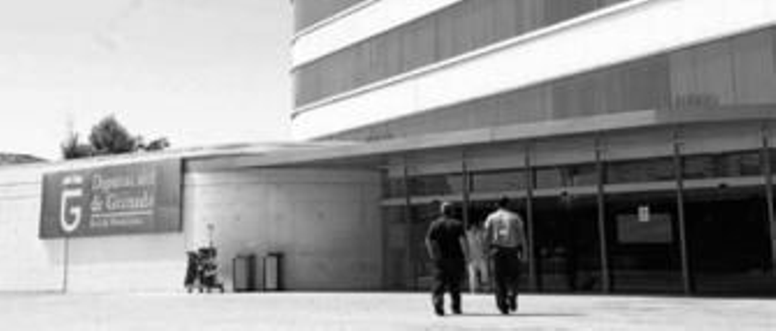 Una imagen de la puerta principal de la fachada de la Diputación de Granada.