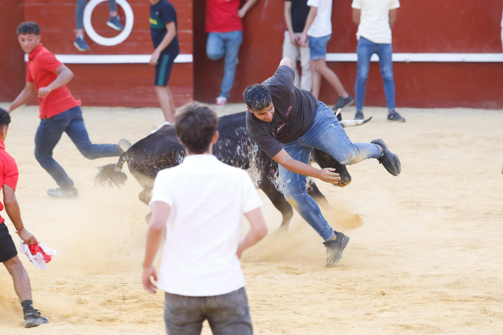 Fotos del Toro del Aguardiente en San Roque