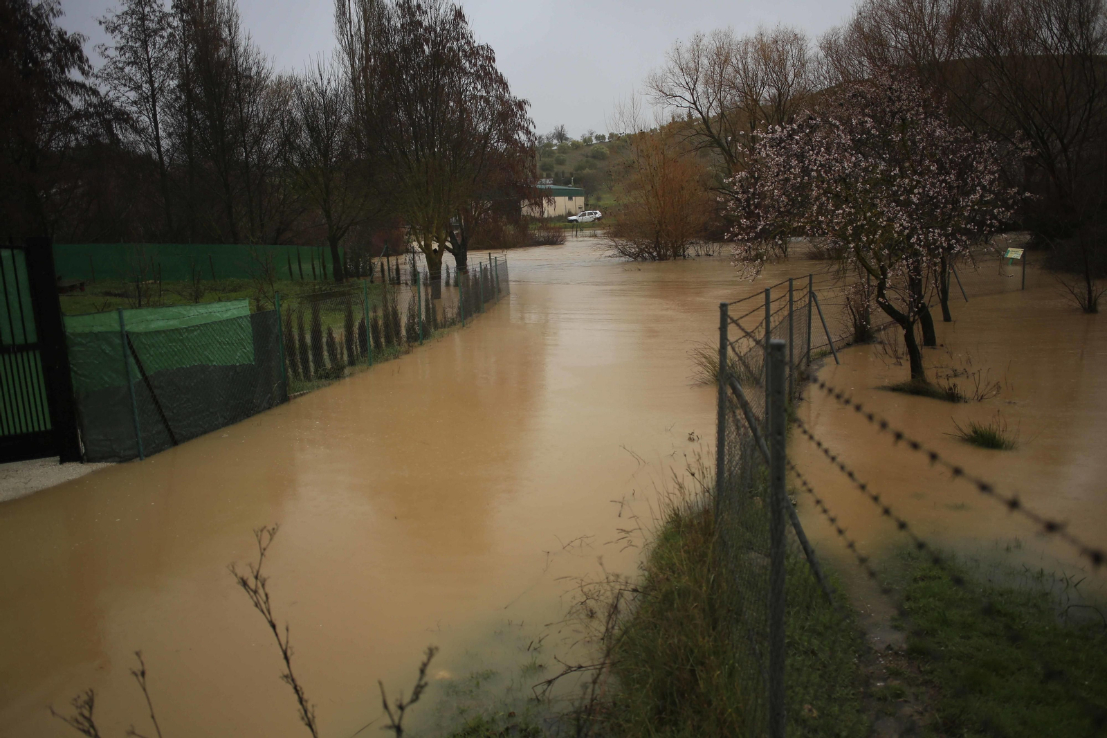 Temporal de viento y lluvia en la provincia