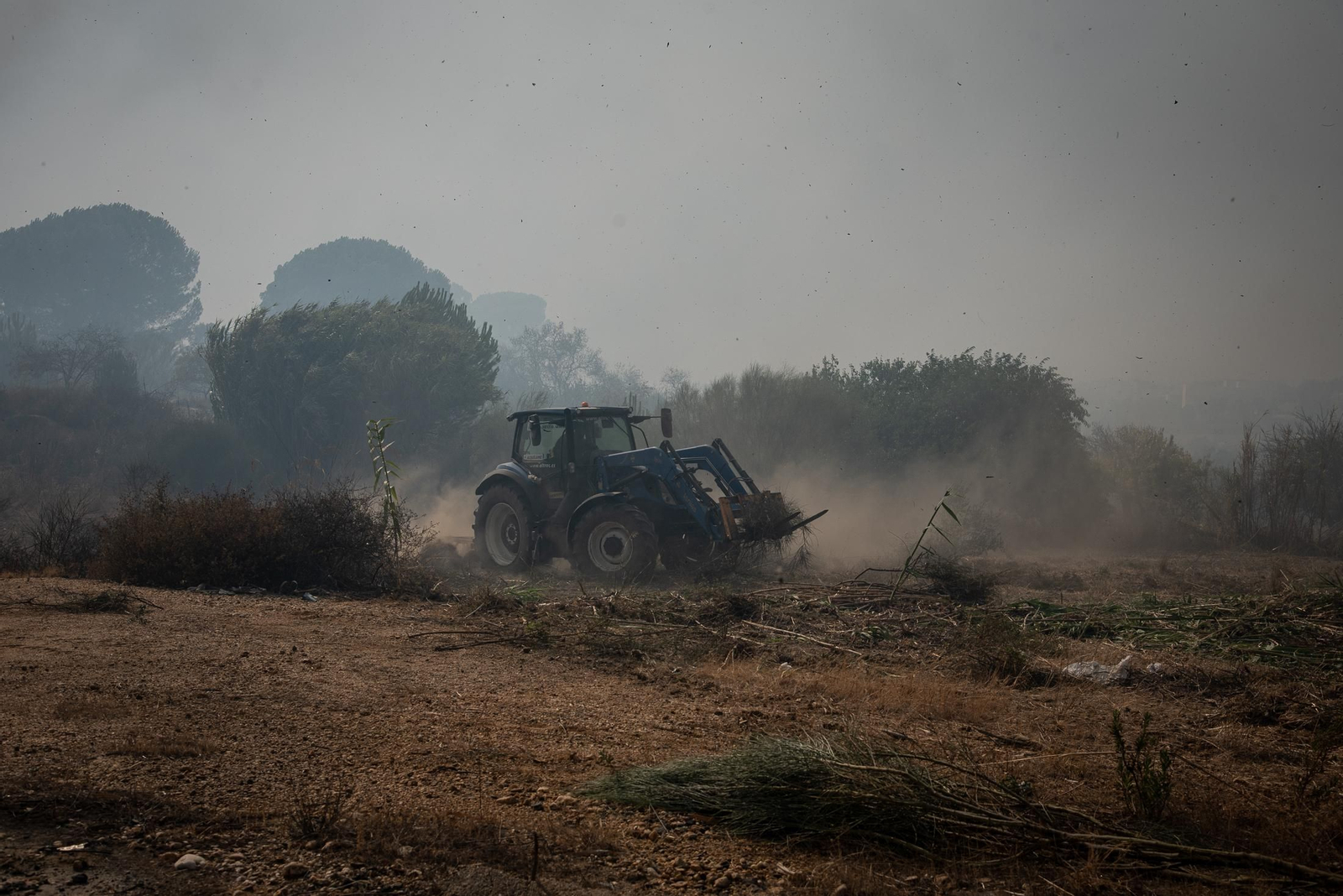 El incendio de Lucena del Puerto en imágenes