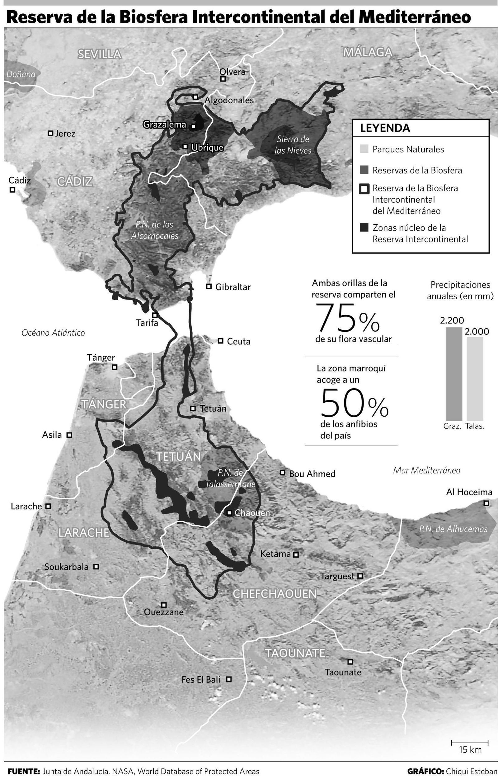Infografía de 2007.