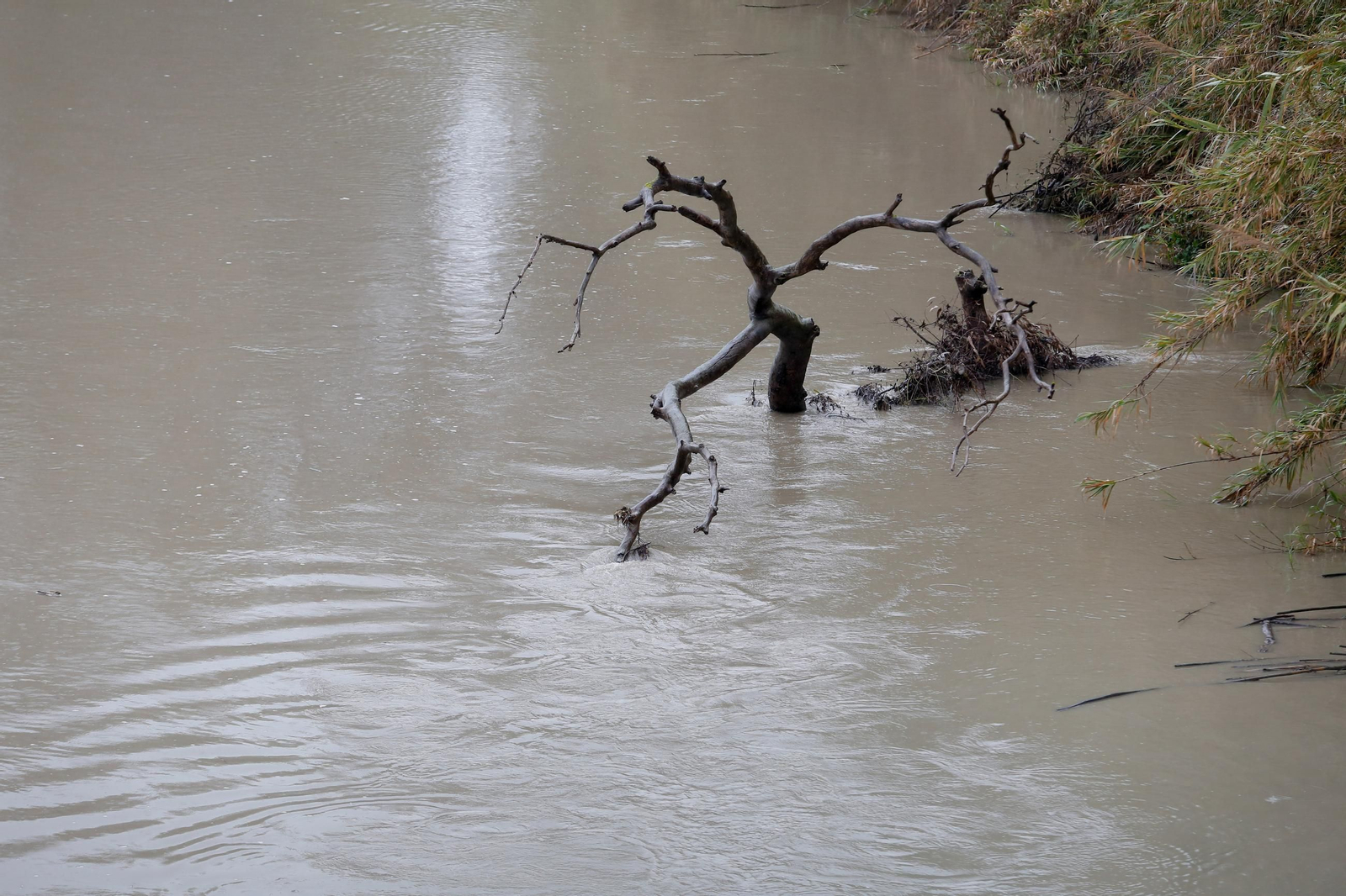 Fotos de los ríos del Campo de Gibraltar tras las últimas lluvias