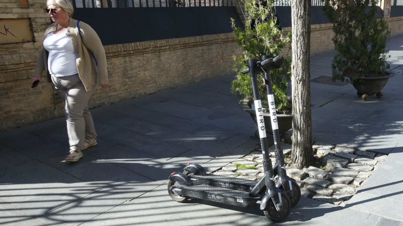 Patinetes de Bird junto al edificio central de la Universidad.