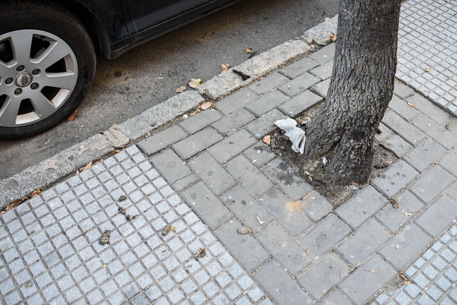 Imágenes de algunos de los puntos más sucios de Huelva