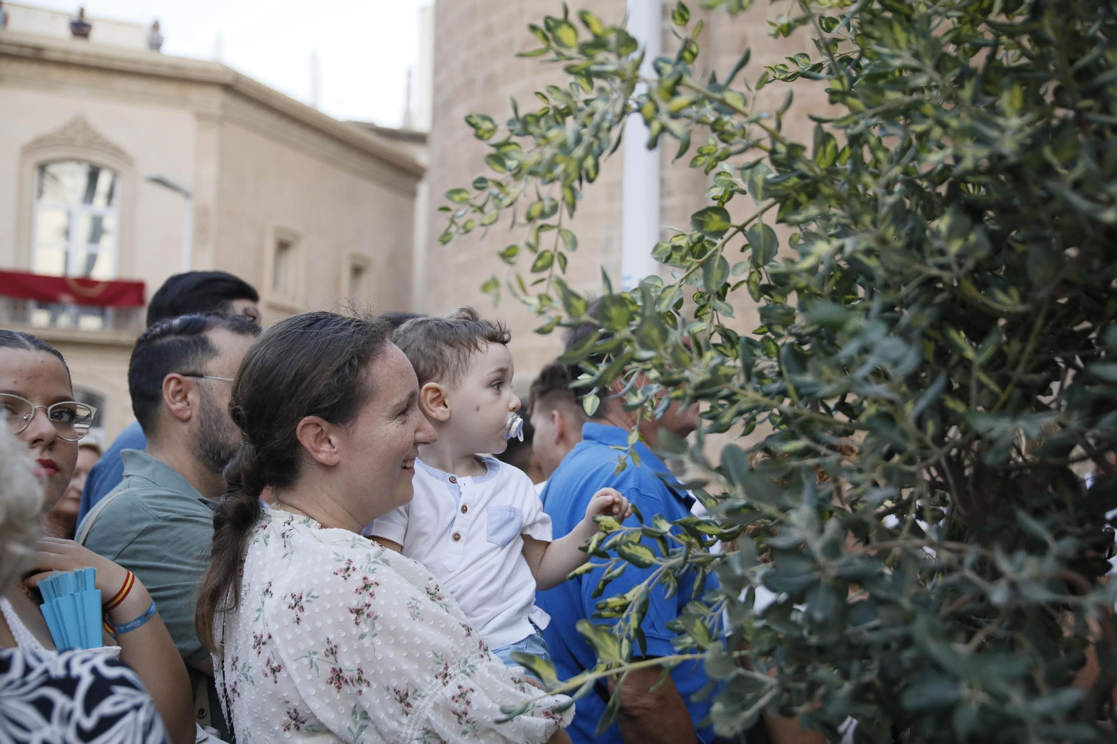 Las mejores imágenes de la procesión Stma. Virgen del Mar, acompañada por San Indalecio