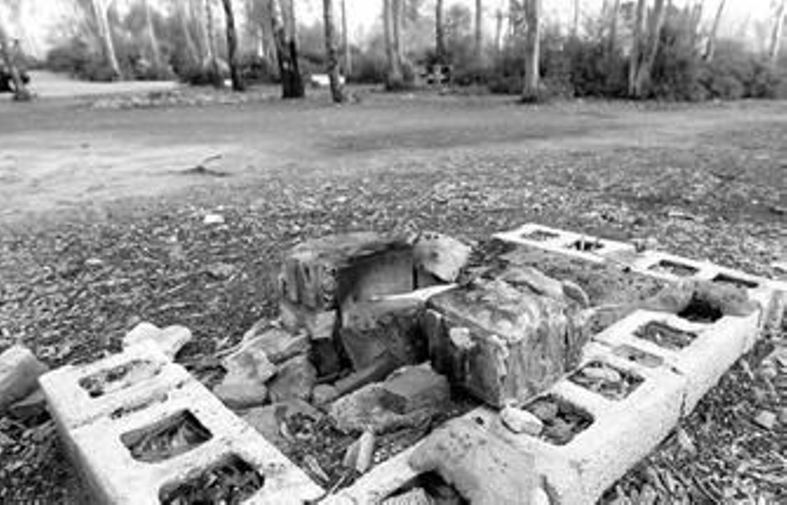 El parque más frecuentado de Jerez