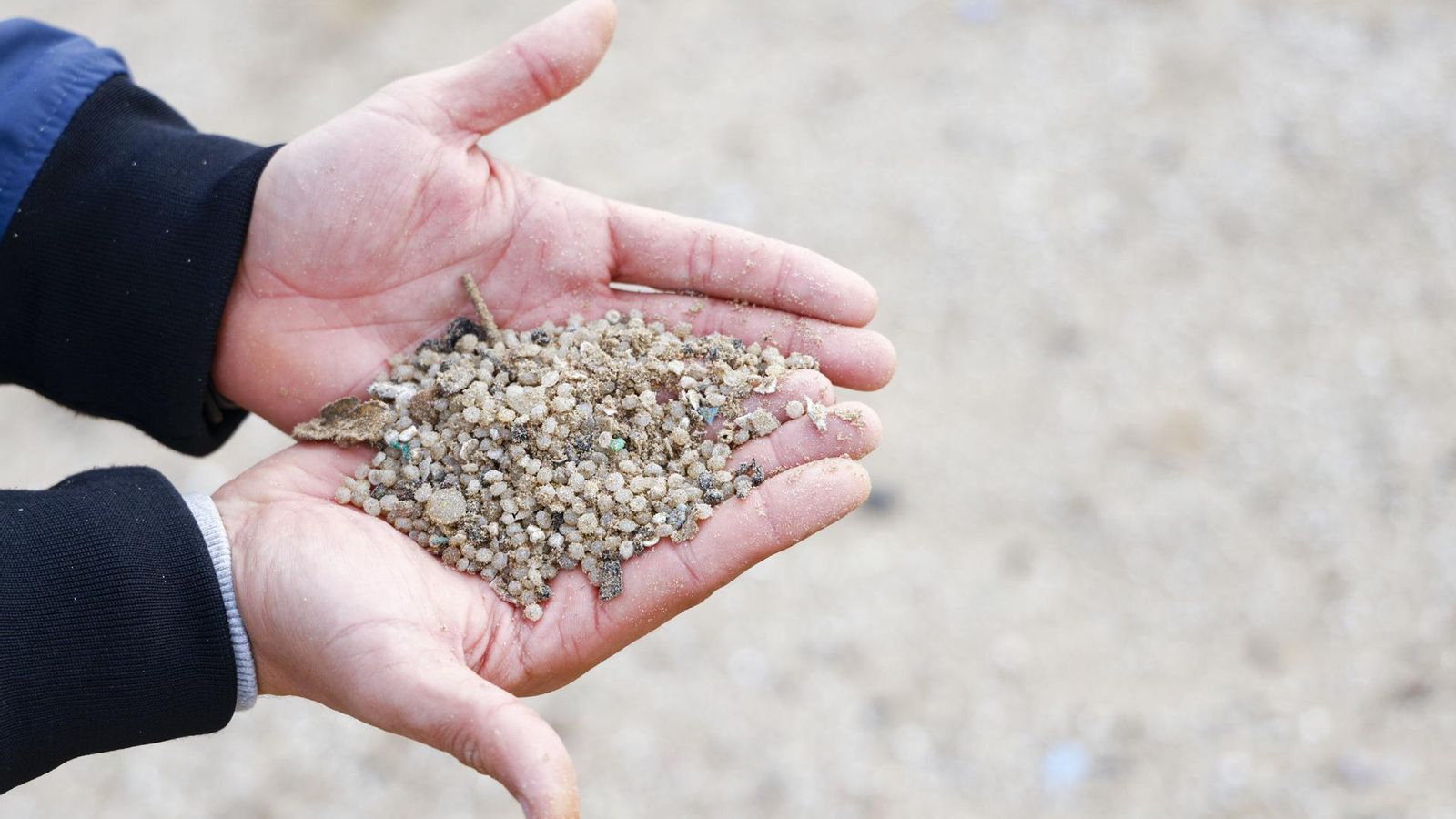'Pellets' recogidos de una playa, en una imagen de archivo. 'Pellets' recogidos de una playa, en una imagen de archivo.