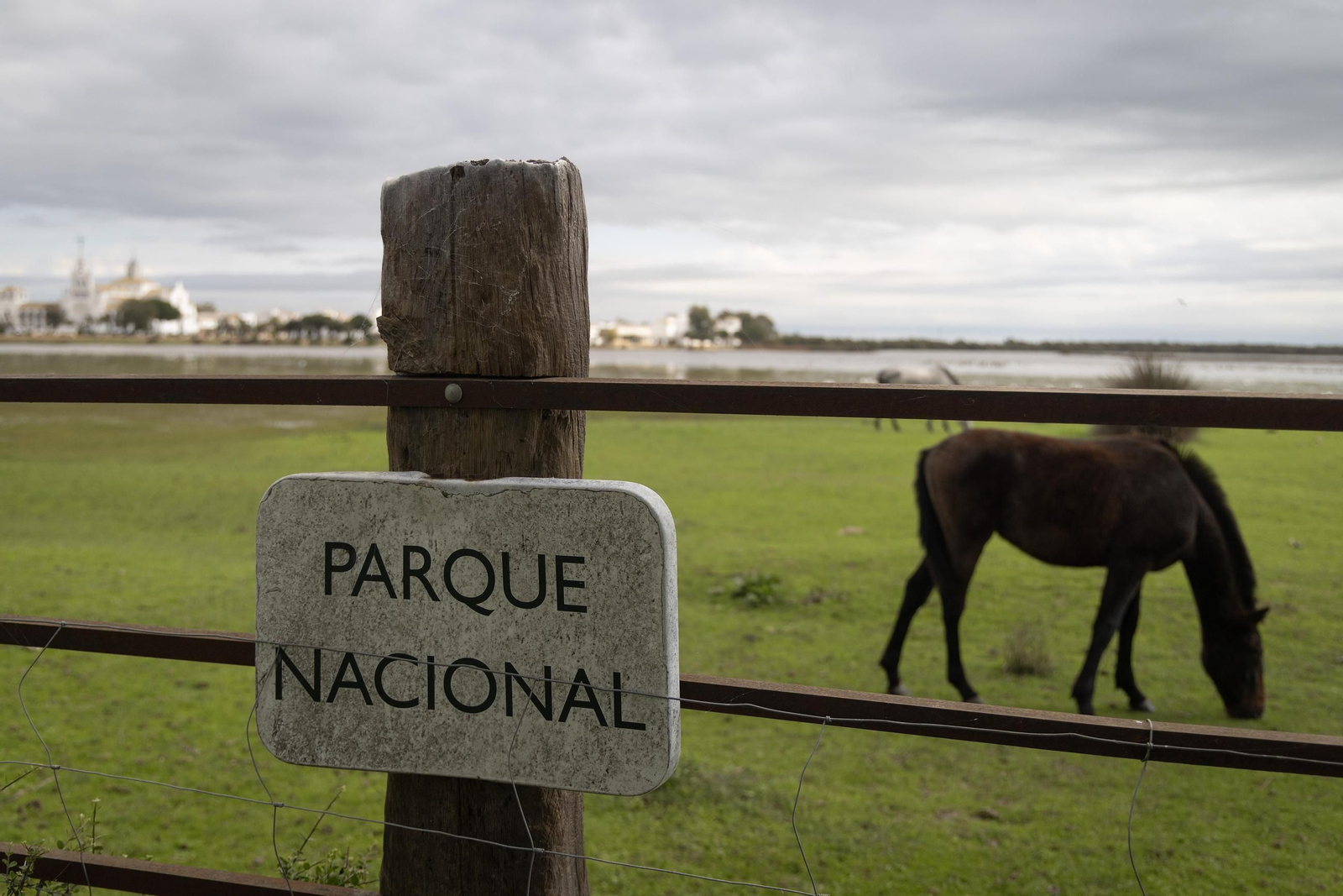 Las fotos de los cultivos en Doñana después del acuerdo sobre la regulación de regadios