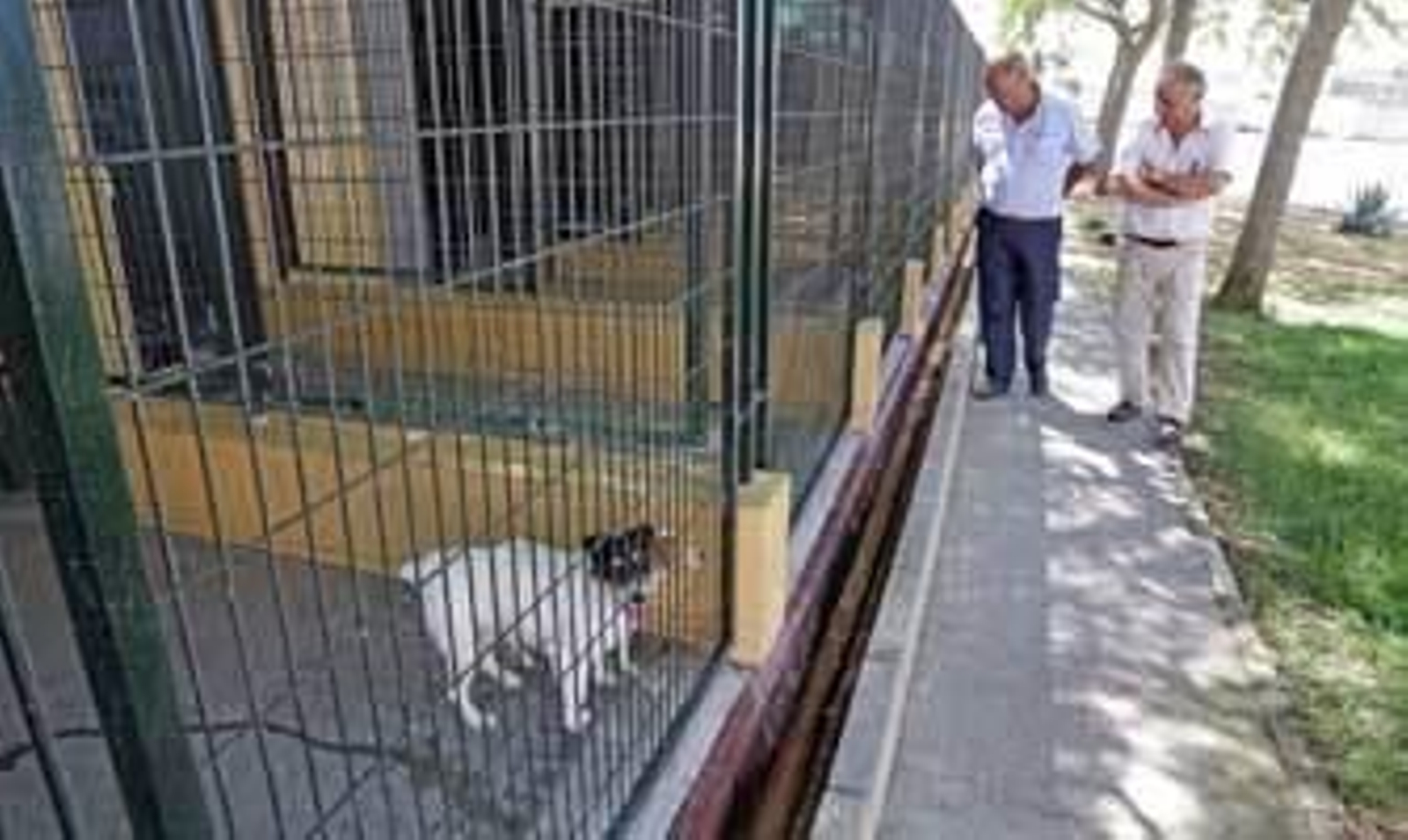 Dos operarios inspeccionan algunas de las jaulas. /Manuel Aranda