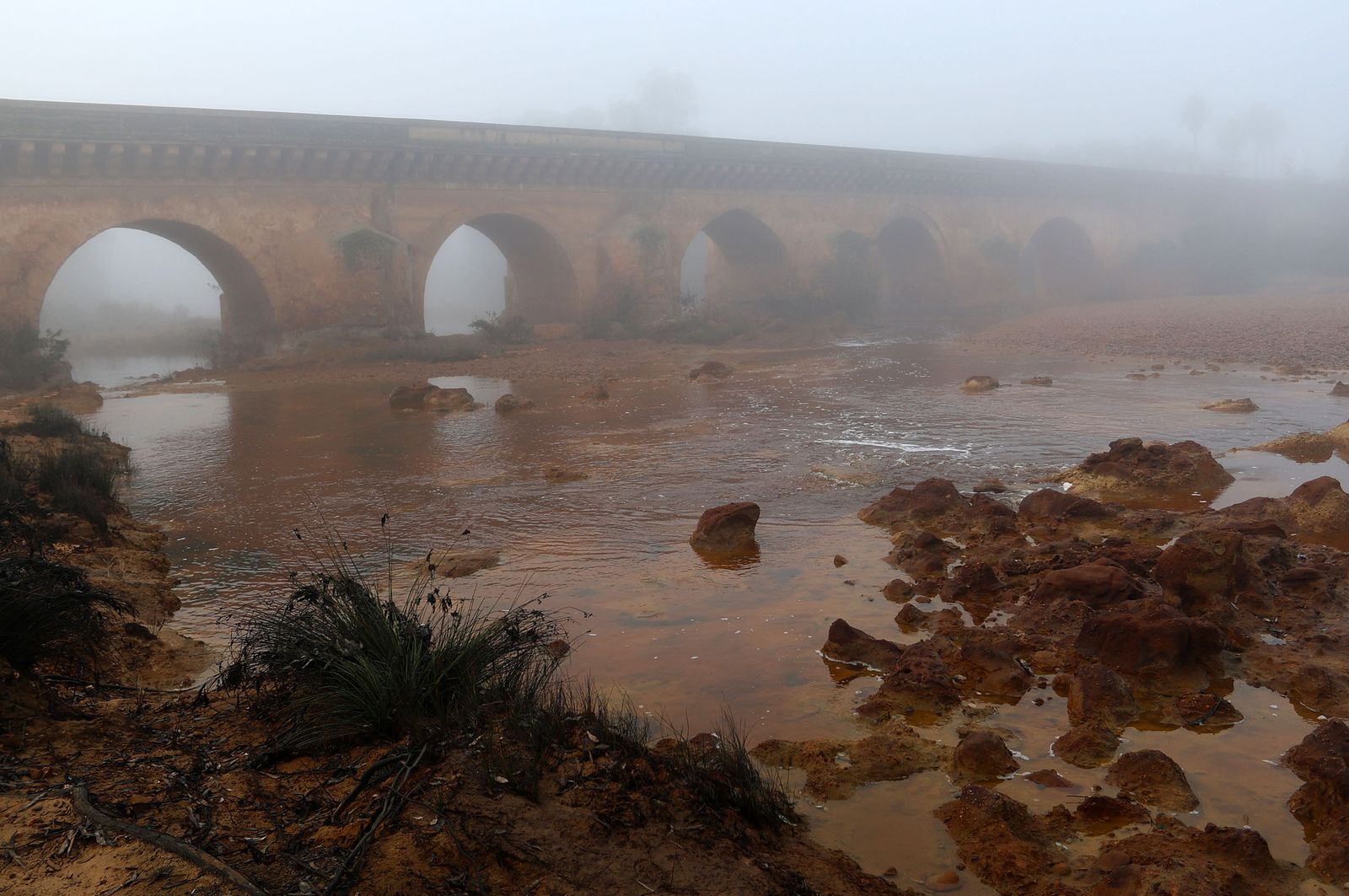 Imágenes de la densa niebla con la que han amanecido varios municipios de Huelva