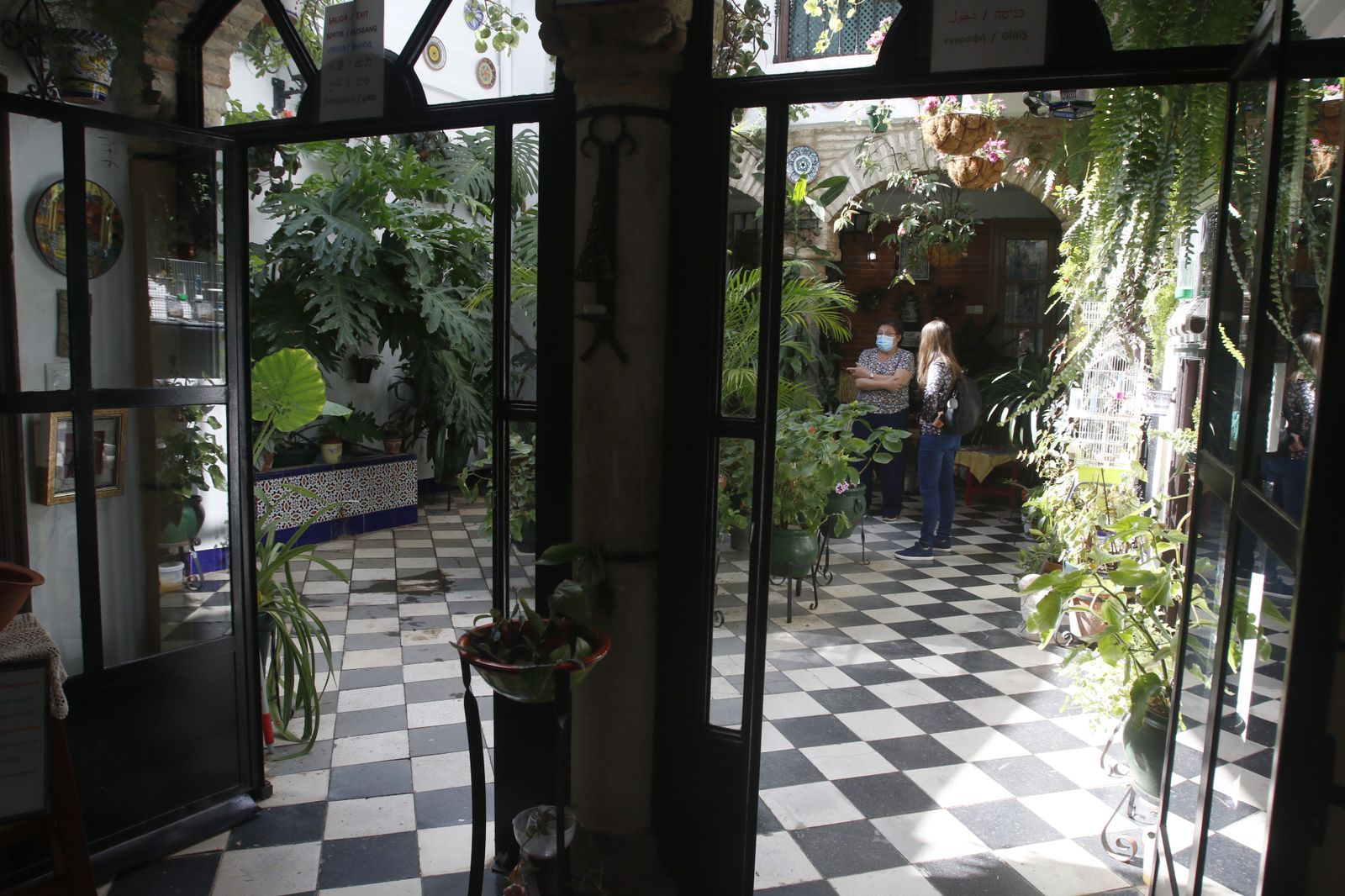 Las fotografías de los Patios de Córdoba en otoño