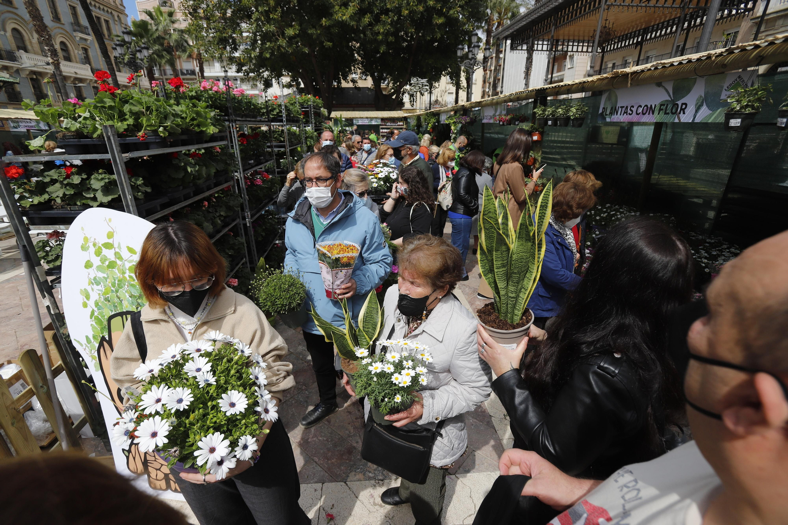 Imágenes del 'V Mercado de Flores y Plantas de Huelva' en la Plaza de Las Monjas