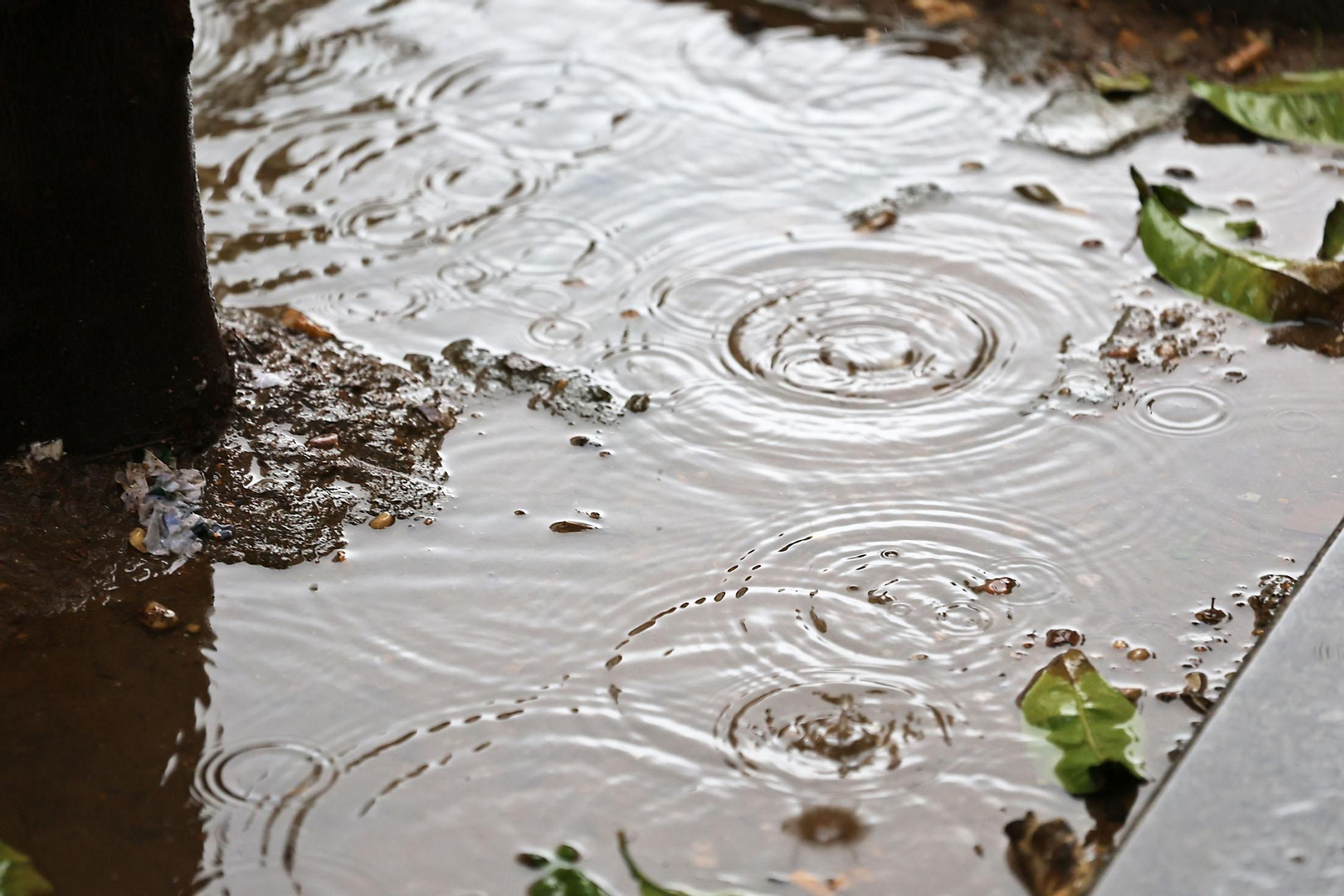 Las imágenes más destacadas del lunes 25 de noviembre en Huelva