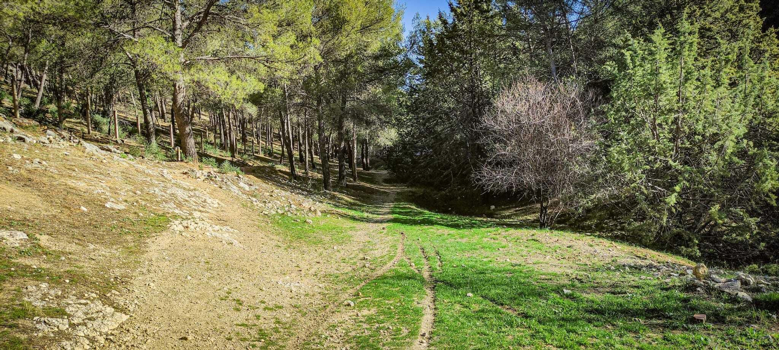 Ruta desde el casco histórico al Cerro de Santa Catalina