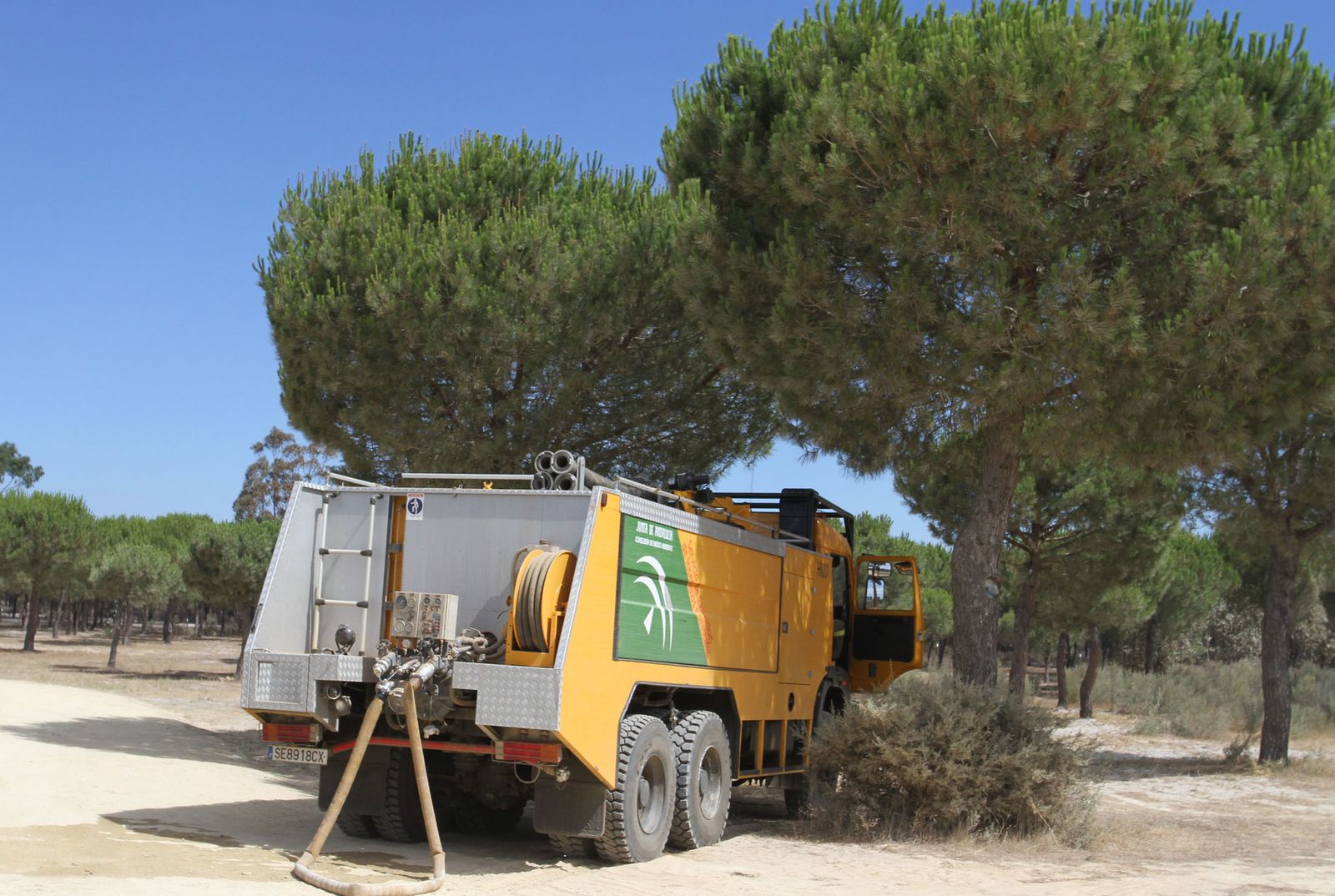 Imágenes de las consecuencias del incendio de Moguer