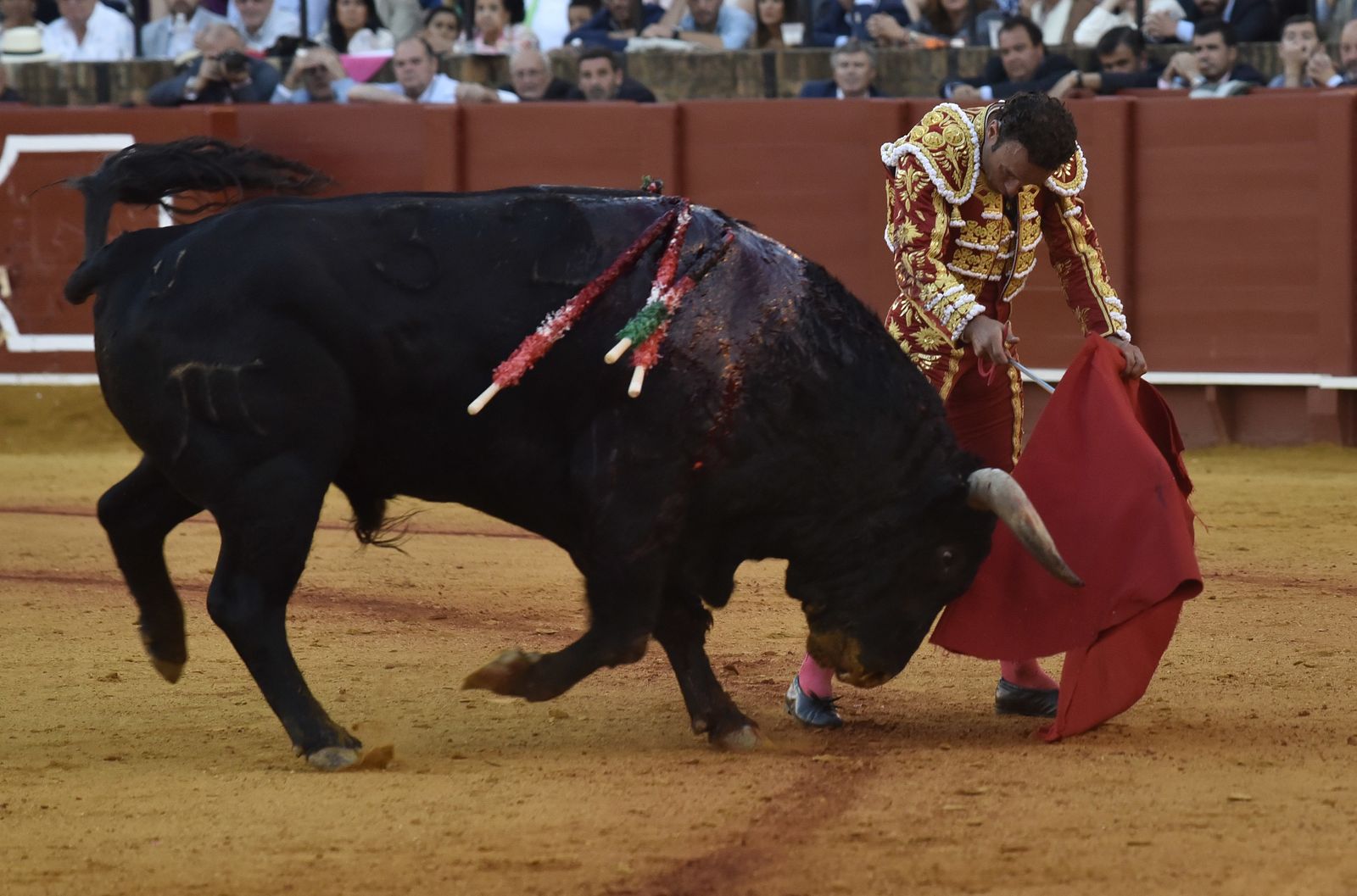 Las imágenes de la 13ª corrida de abono de La Maestranza