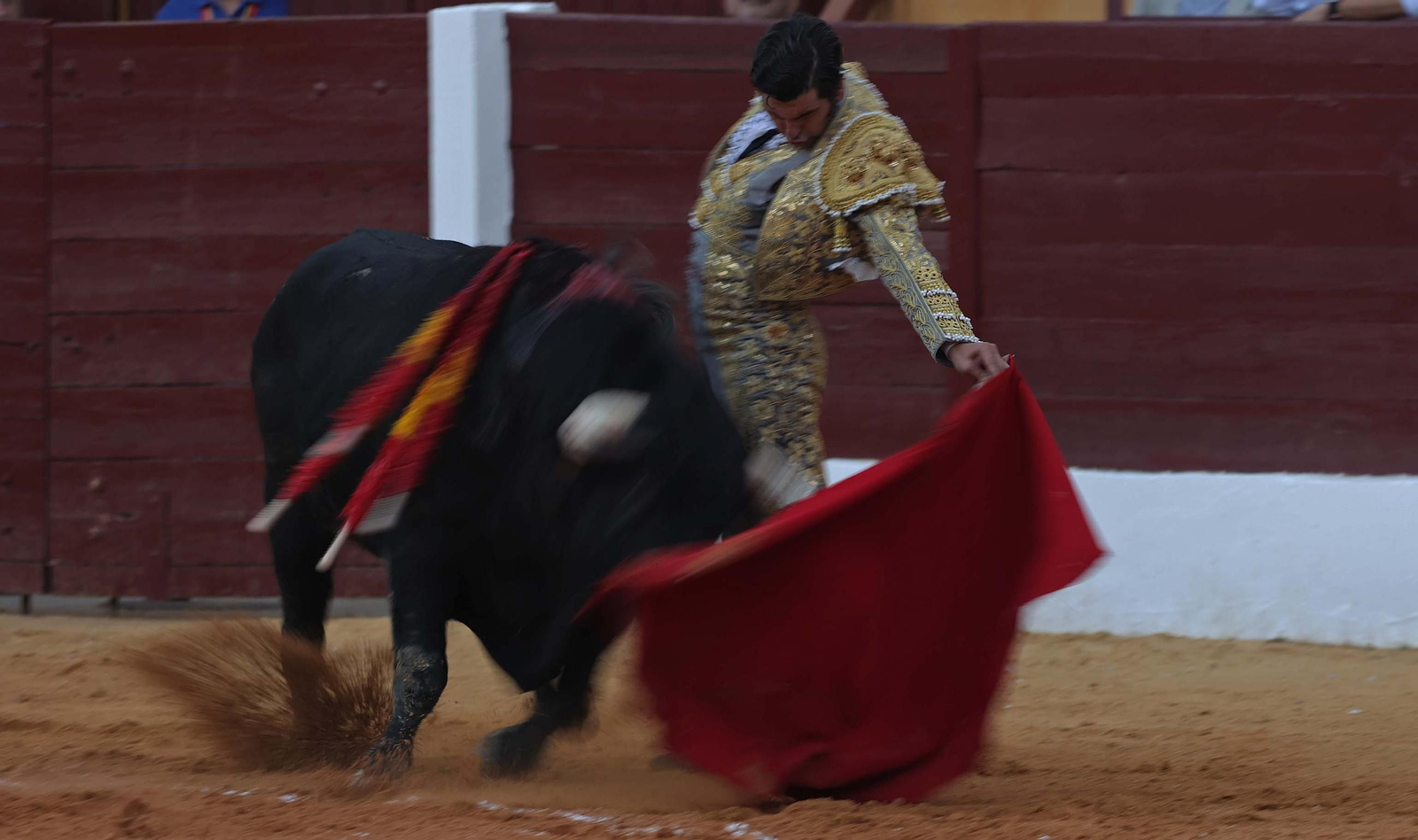 Fotos de la corrida del viernes de la Feria de La Línea: Morante de la Puebla, Talavante y David de Miranda Fotos de la corrida del viernes de la Feria de La Línea: Morante de la Puebla, Talavante y David de Miranda