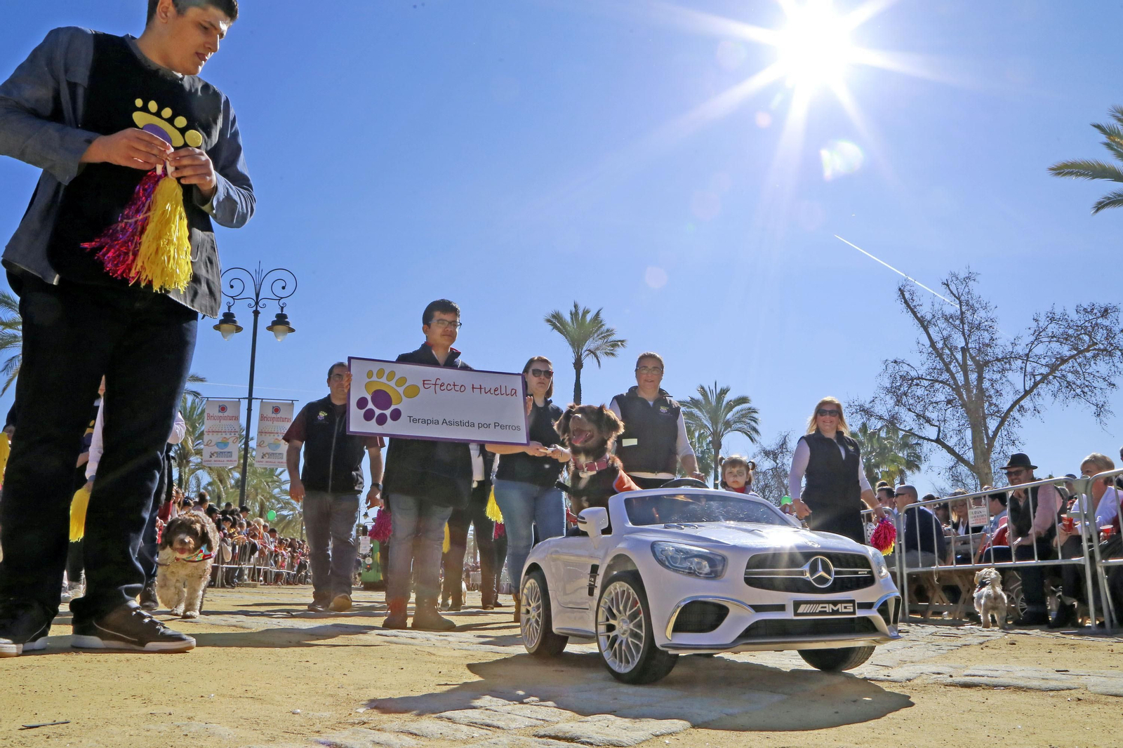 Imágenes de San Antón 2020 en Jerez