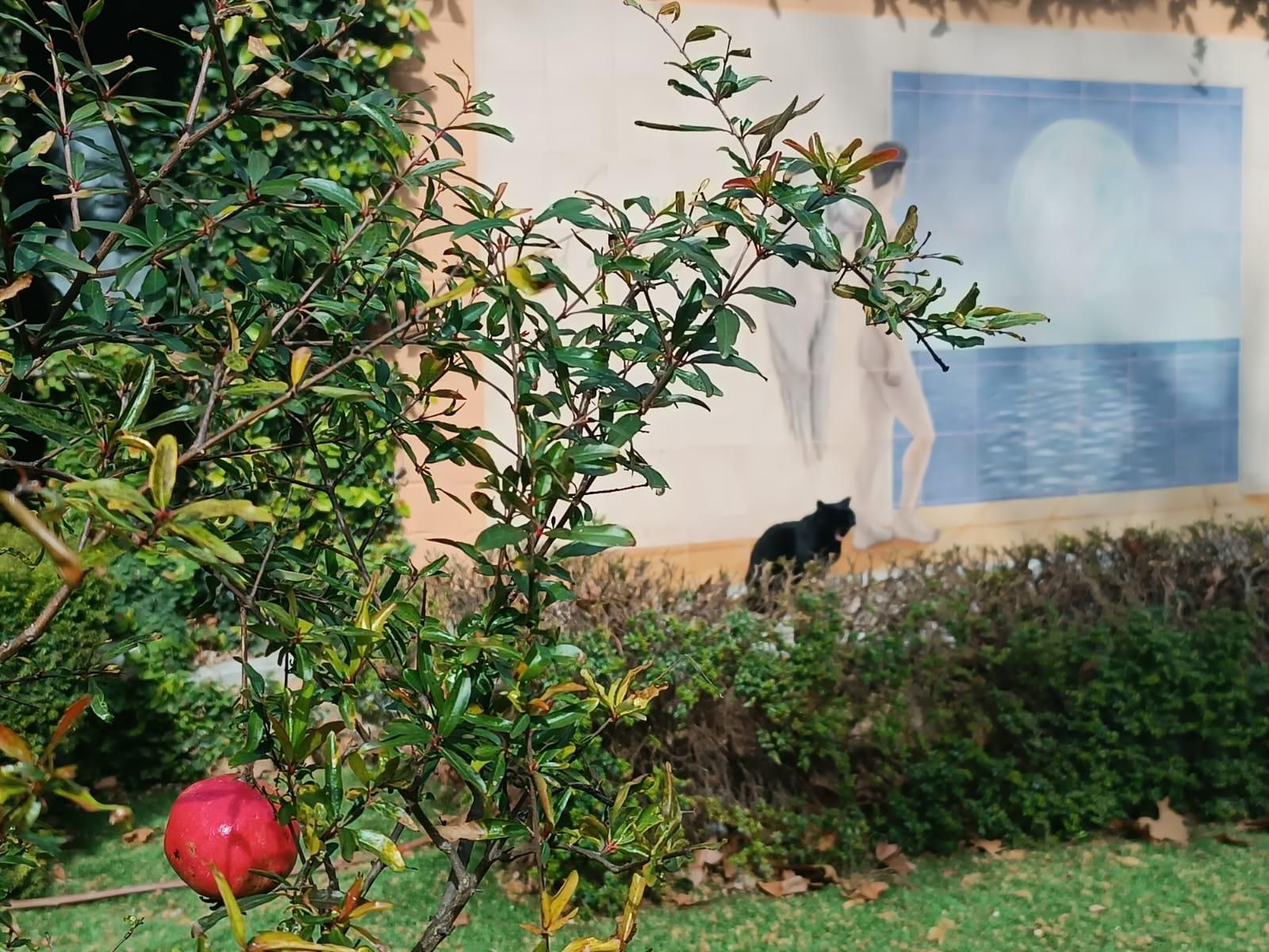 Allí se celebra el Día del Teatro y la imposición de la pajarita al busto de García Lorca