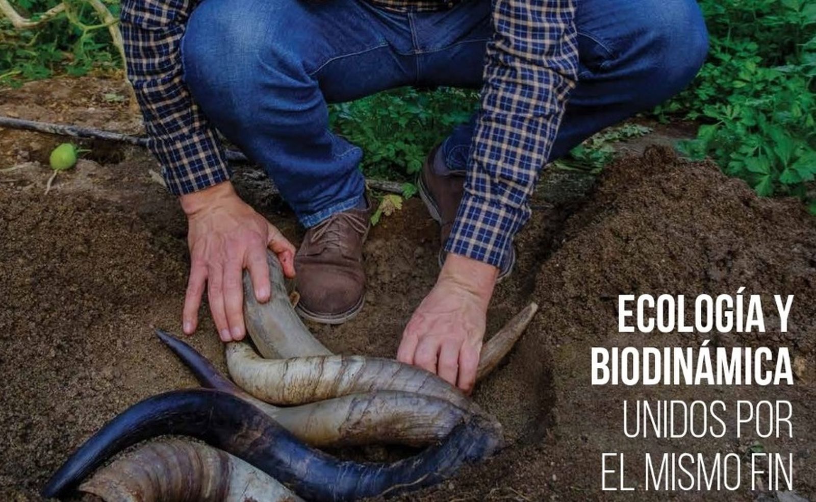 El IV Simposio de Agricultura Ecológica y Biodinámica se celebrará a mediados de junio