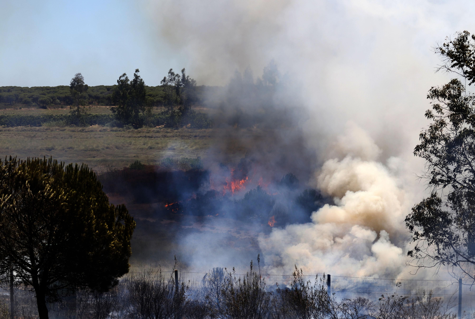 Imágenes del espectacular incendio entre en el paraje de la raya de Aljaraque y Marismas del Odiel