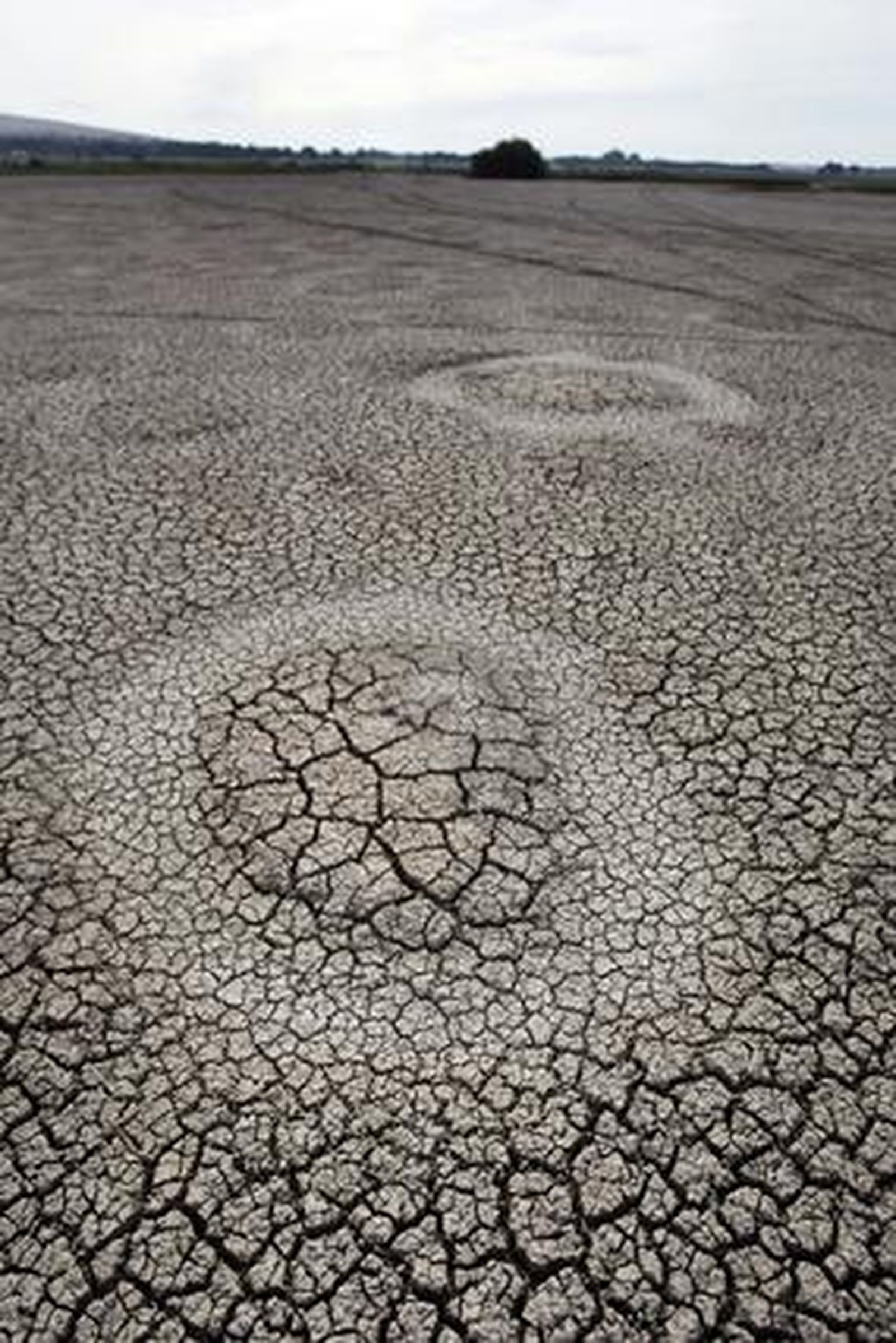 Aspecto actual de la laguna de Los Tollos.

Foto: Fito Carreto