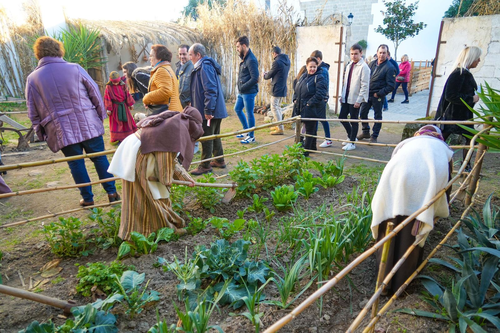 Torrecampo vive una nueva edición de su belén viviente, en imágenes