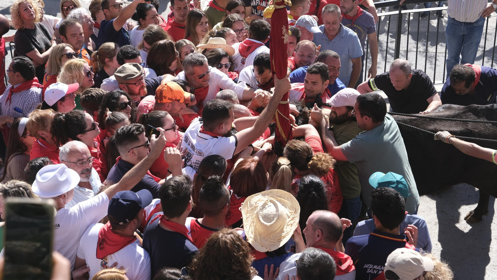 Imágenes de los toros ensogaos y San Marcos, en las Fiestas de Ohanes