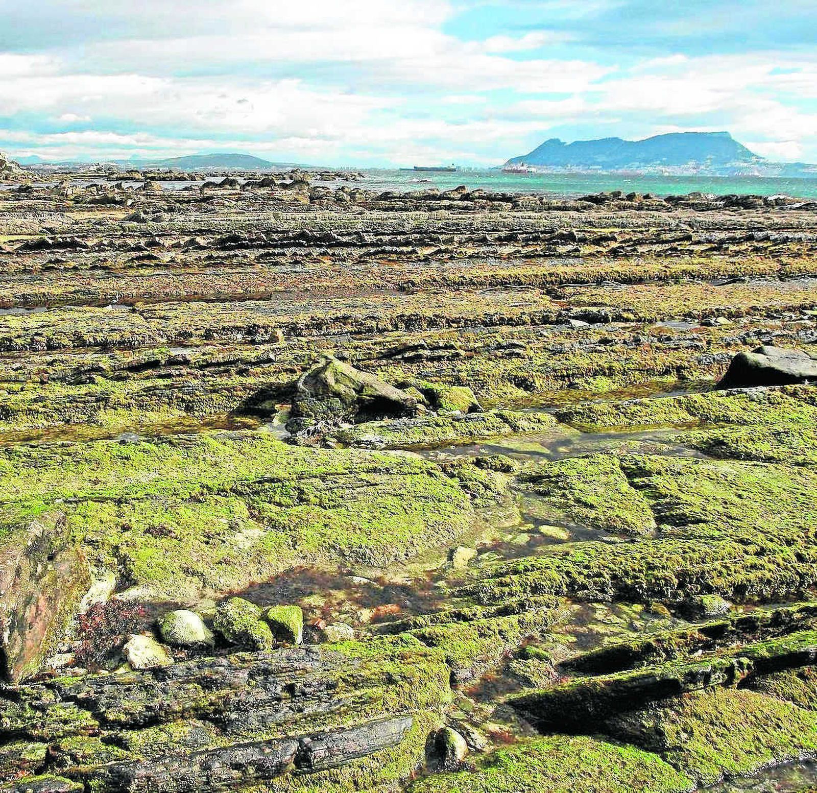 Gibraltar, visto desde una cala de rocas dentro del Parque Natural del Estrecho.
