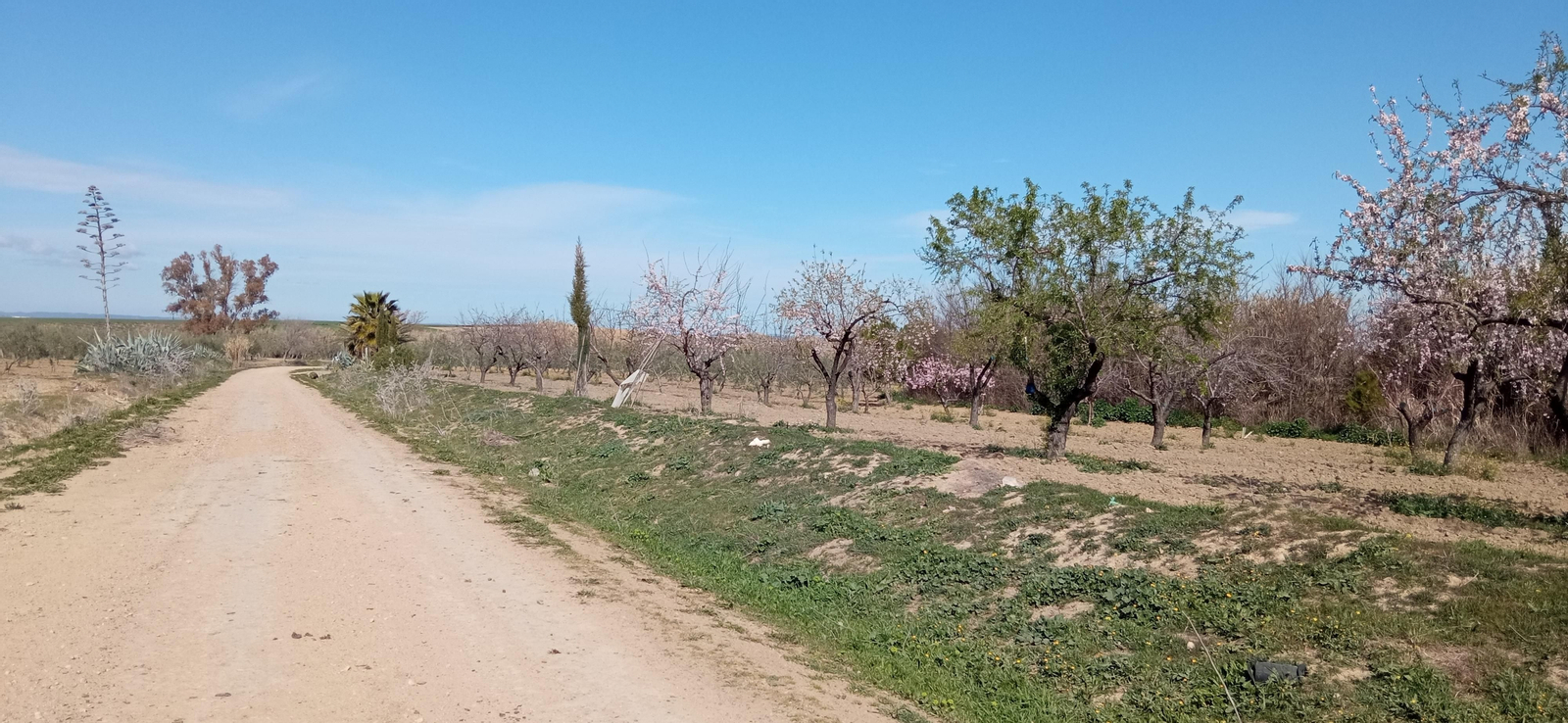 Las imágenes de la ruta de la dehesa de Albaida del Aljarafe