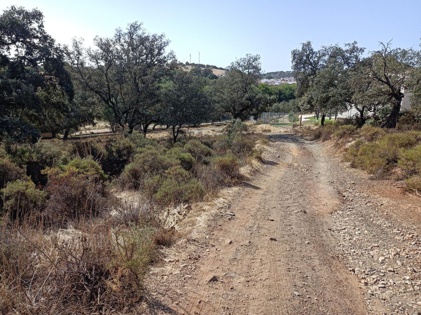 Fotos de la ruta de Los Brezales-Umbría de Santa Fe en el Ronquillo